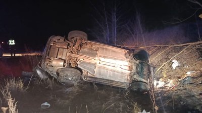 На Полтавщині автомобіль перекинувся та в'їхав в дерево