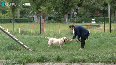 У Рівному на Пагорбі Слави може з'явитись тренувальний майданчик для собак У Рівному на Пагорбі Слави може з'явитись тренувальний майданчик для собак