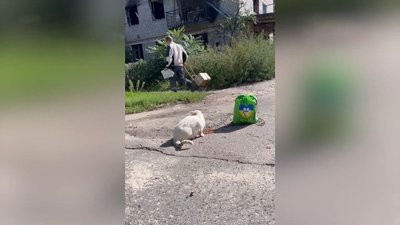 По нам вели прицільний вогонь під час евакуації. Як волонтер вивозить людей з прифронтових та звільнених сіл Донбаса По нам вели прицільний вогонь під час евакуації. Як волонтер вивозить людей з прифронтових та звільнених сіл Донбаса