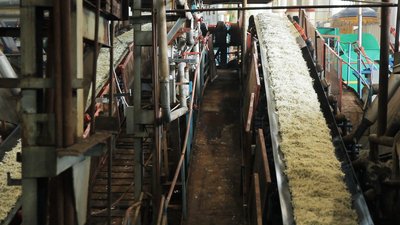 600 тисяч тон цукру виробили заводи Вінниччини