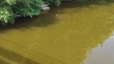 "Житомирводоканал" пояснив, чому вода у кранах житомирян має жовтий колір