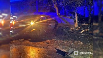 ДТП на Чернігівщині: жінка на легковику збила пішохода, козу та врізалаася в паркан