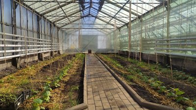 Сумські аграрії готуються до посівної