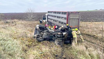 Зіткнувся з вантажівкою з тваринами: загинув водій автомобіля на Рівненщині