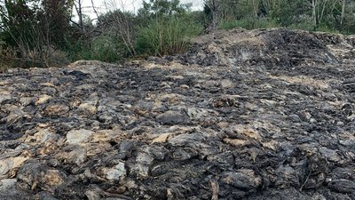 Небезпека для довкілля: на Вінниччині підприємець організував звалище відходів Небезпека для довкілля: на Вінниччині підприємець організував звалище відходів