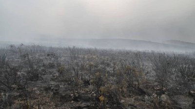На Кіліманджаро три дні триває лісова пожежа На Кіліманджаро три дні триває лісова пожежа