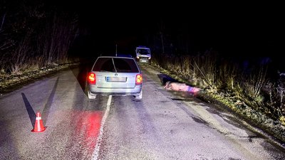 Смертельна ДТП на Рівненщині: водій сам викликав швидку і поліцію Смертельна ДТП на Рівненщині: водій сам викликав швидку і поліцію