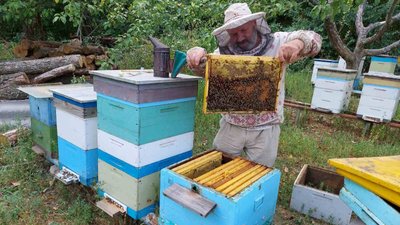 Пасіка під обстрілом: бджоляр із Харківщини покинув дім та евакуювався на Волинь Пасіка під обстрілом: бджоляр із Харківщини покинув дім та евакуювався на Волинь