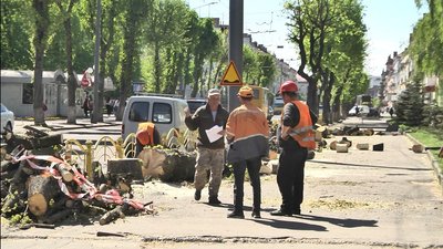 У центрі Луцька корчують дерева. Як це пояснюють комунальники У центрі Луцька корчують дерева. Як це пояснюють комунальники