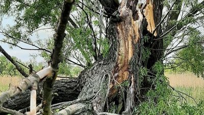 37 населених пунктів без електрики. На Дніпропетровщині ліквідовують наслідки негоди 37 населених пунктів без електрики. На Дніпропетровщині ліквідовують наслідки негоди