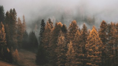 Погода, Івано-Франківськ та область, 26 жовтня
