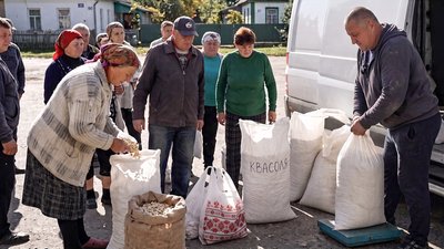 Ціна насіння та квасолі на Чернігівщині та які причини зниження закупівельної ціни
