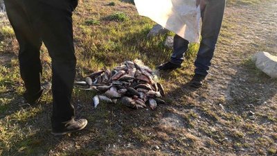 339 кг риби - здобич херсоньких браконьєрів за тиждень 339 кг риби - здобич херсоньких браконьєрів за тиждень