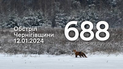 40 вибухів: росіяни з міномета та ствольної артилерії обстріляли дві прикордонні громади Чернігівщини