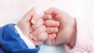 Три пари двійнят народилися в один день у Рівному