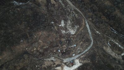 На Вінниччині "чорні лісоруби" зрізали дерев на мільйон гривень На Вінниччині "чорні лісоруби" зрізали дерев на мільйон гривень