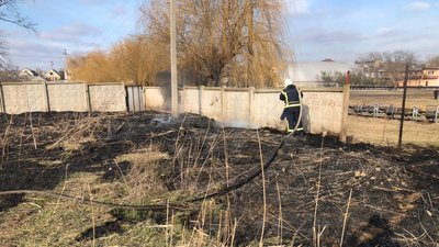 У Миколаєві рятувальники двічі за добу гасили пожежі очерету загальною площею 700 кв. м