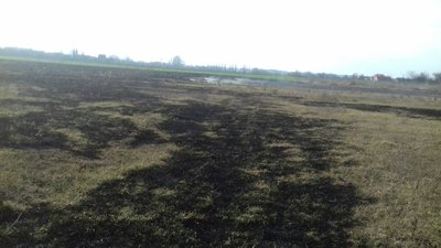 На Житомирщині протягом доби виникло 9 пожеж сухостою. Опіки отримали 3 людини На Житомирщині протягом доби виникло 9 пожеж сухостою. Опіки отримали 3 людини