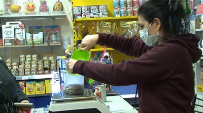 Незабаром локдаун: куди подіти тварин у зоомагазинах Незабаром локдаун: куди подіти тварин у зоомагазинах