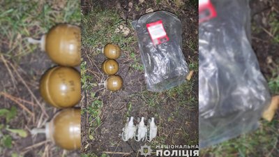 Гранати, які вилучили поліцейські на Чернігівщині Гранати, які вилучили поліцейські на Чернігівщині