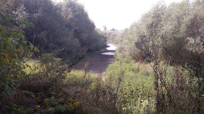 "Нема води в колодязях і ставках". Жителі сіл на Сумщині звинувачують орендаря у пересиханні водойм