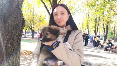 "Щастя не має породи" – у Миколаєві шукали домівки для безпритульних собак "Щастя не має породи" – у Миколаєві шукали домівки для безпритульних собак