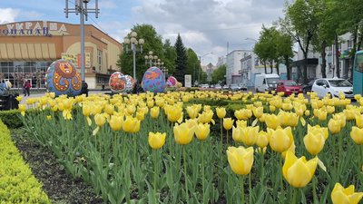 "Додають атмосфери свята": у Рівному облаштували Писанковий сад "Додають атмосфери свята": у Рівному облаштували Писанковий сад