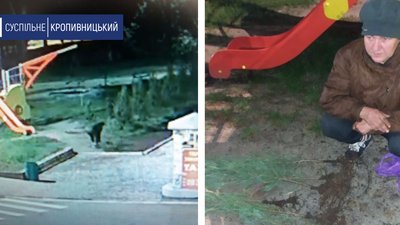 В Олександрії, що на Кіровоградщині, спіймали жінку, яка викопувала на клумбах ялівець