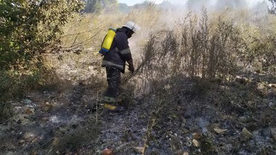Харківські рятувальники загасили 18 пожеж в лісах та полях за добу