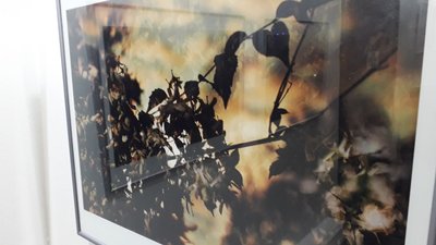 У Сумах відкрили фотовиставку Сергія Чепульського "Байки у мушлі" У Сумах відкрили фотовиставку Сергія Чепульського "Байки у мушлі"