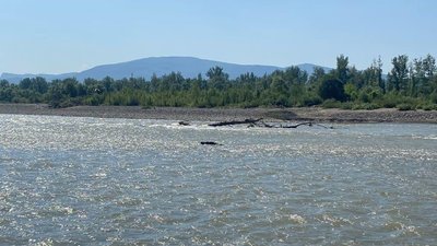 У річці Тиса на Закарпатті виявили тіло чоловіка