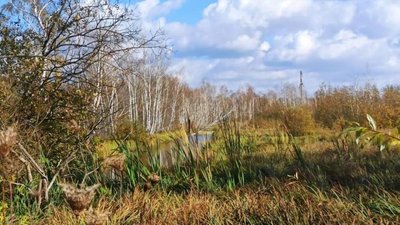 Торфовище "Білогорща"