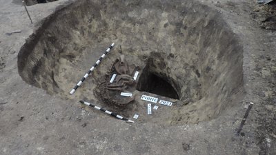 Знахідки року Знахідки року
