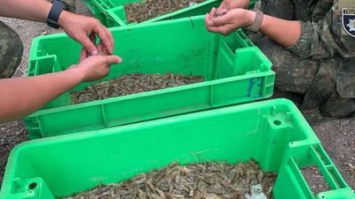 Водна поліція Херсонщини викрила браконьєрів з підробленими документами наукововців Водна поліція Херсонщини викрила браконьєрів з підробленими документами наукововців