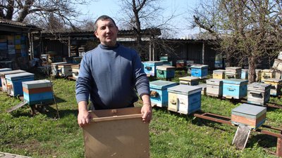 Бджільництво на Харківщині: як пасічники готуються до нового сезону Бджільництво на Харківщині: як пасічники готуються до нового сезону