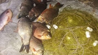 339 кг риби - здобич херсоньких браконьєрів за тиждень 339 кг риби - здобич херсоньких браконьєрів за тиждень