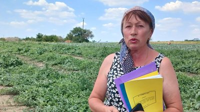 Боротьба за землю. На Миколаївщині два роки триває конфлікт щодо права власності на земельну ділянку Боротьба за землю. На Миколаївщині два роки триває конфлікт щодо права власності на земельну ділянку