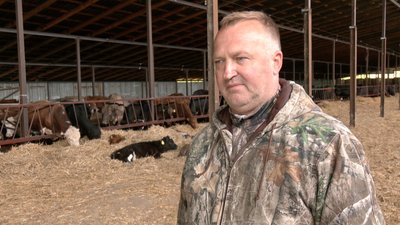 Дотація від держави для тих, хто тримає корів та овець: як волинянам її отримати — фермер Вячеслав Зінкевич Дотація від держави для тих, хто тримає корів та овець: як волинянам її отримати — фермер Вячеслав Зінкевич