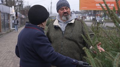 Новорічні ялинки, ціни в Тернополі, купити ялинку, живі ялинки