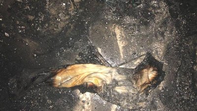 У Рівному невідомий підпалив двері квартири, яка знаходилась на шостому поверсі У Рівному невідомий підпалив двері квартири, яка знаходилась на шостому поверсі