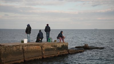 Цвітіння води, стоки та дрейфуючі міни: екологія Чорного моря очима експертів Цвітіння води, стоки та дрейфуючі міни: екологія Чорного моря очима експертів