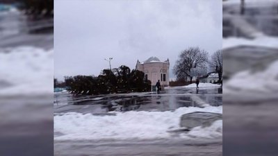 У Коропі та Носівці через негоду впали новорічні ялинки У Коропі та Носівці через негоду впали новорічні ялинки