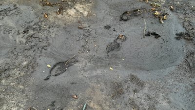 У Херсоні сталась аварія на каналізаційному колекторі: коли відремонтують У Херсоні сталась аварія на каналізаційному колекторі: коли відремонтують