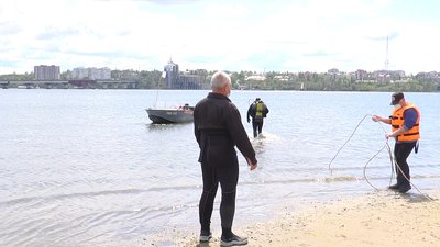 Миколаївські пляжі та зони відпочинку готують до літнього сезону Миколаївські пляжі та зони відпочинку готують до літнього сезону