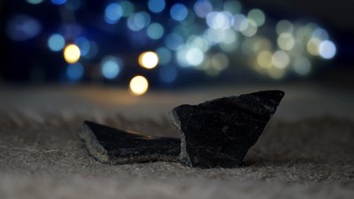 У заповіднику на Полтавщині бабаки допомогли знайти кераміку, якій майже 3 тисячі років
