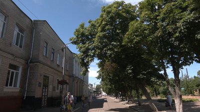 Кодола відповів на петицію: у Ніжині каштани перед вирубкою обстежить київський «Зеленбуд»
