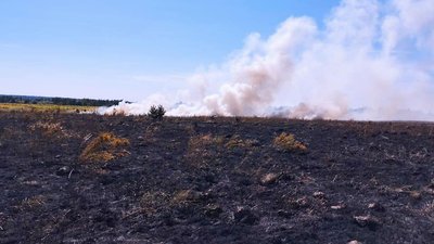 Підпали в дев'яти селах: на Волині за добу вигоріли майже 16 гектарів сухостою Підпали в дев'яти селах: на Волині за добу вигоріли майже 16 гектарів сухостою