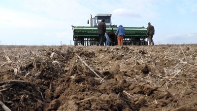На Миколаївщині розпочато посів пізніх ярих культур На Миколаївщині розпочато посів пізніх ярих культур