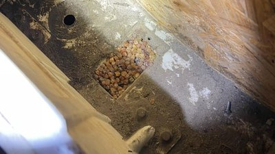 На кордоні з Польщею у авто знайшли 13 кілограмів прихованого бурштину