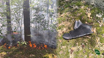 Лісові пожежі: на Чернігівщині з початку липня зафіксували 14 лісових пожеж